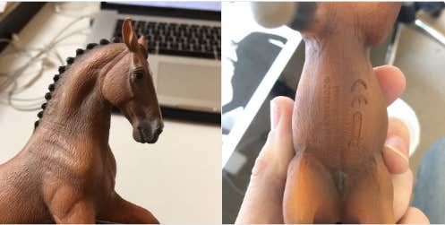 Toy Horse Has A Penis You Won t Believe YourTango